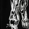 Great Boxy Graphic Long Sleeve T-Shirt – Black – Angry Panthers