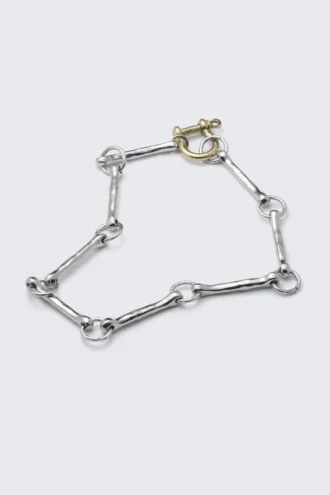 Metal Link Necklace – Silver & Golden