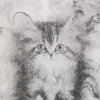 Oversized Printed T-Shirt – Kittens