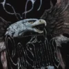 Relaxed Graphic Printed T-Shirt – Black – Cosmic Eagle