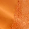 Short Satin Lace Shorts – Orange