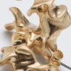 Spun Hoops – Golden
