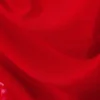 Transparent Drape Asymmetric Long Sleeve – Red