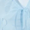 Transparent Frilled V-Neck Blouse – Light Blue