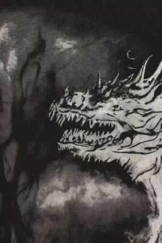 Wide Oversized Printed T-Shirt – Black – Dragon