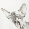 Wide Oversized Printed T-Shirt – White – Sphynx Cat